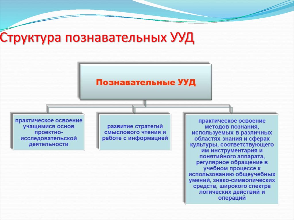 Структура познавательной