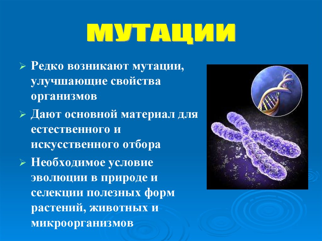 Мутагены картинки для презентации