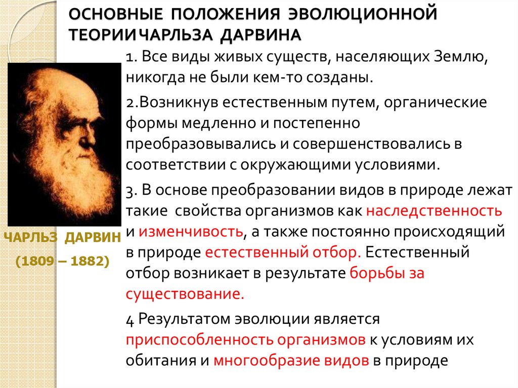 Доклад по теме Эволюционная теория Чарльза Дарвина 