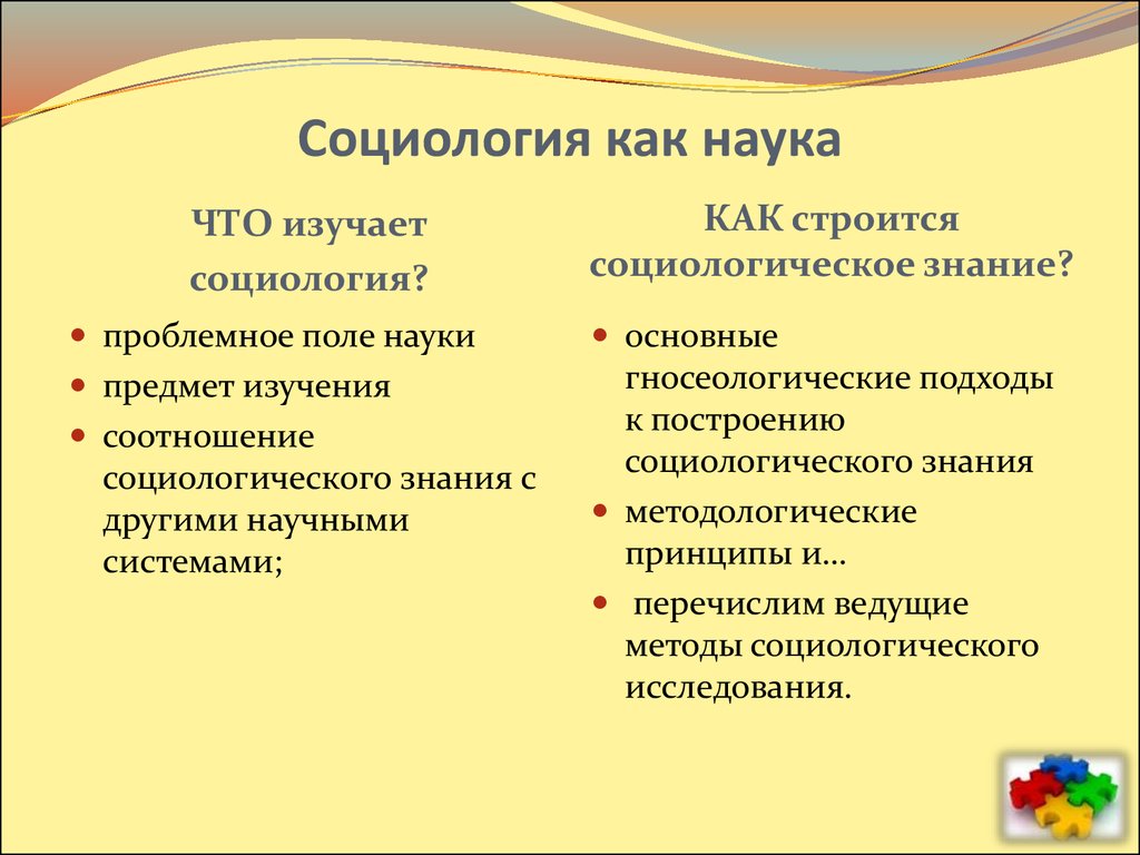 Социолог наука. Социологические науки что изучают. Социология как наука. Социология это наука изучающая. Социология как наука кратко.