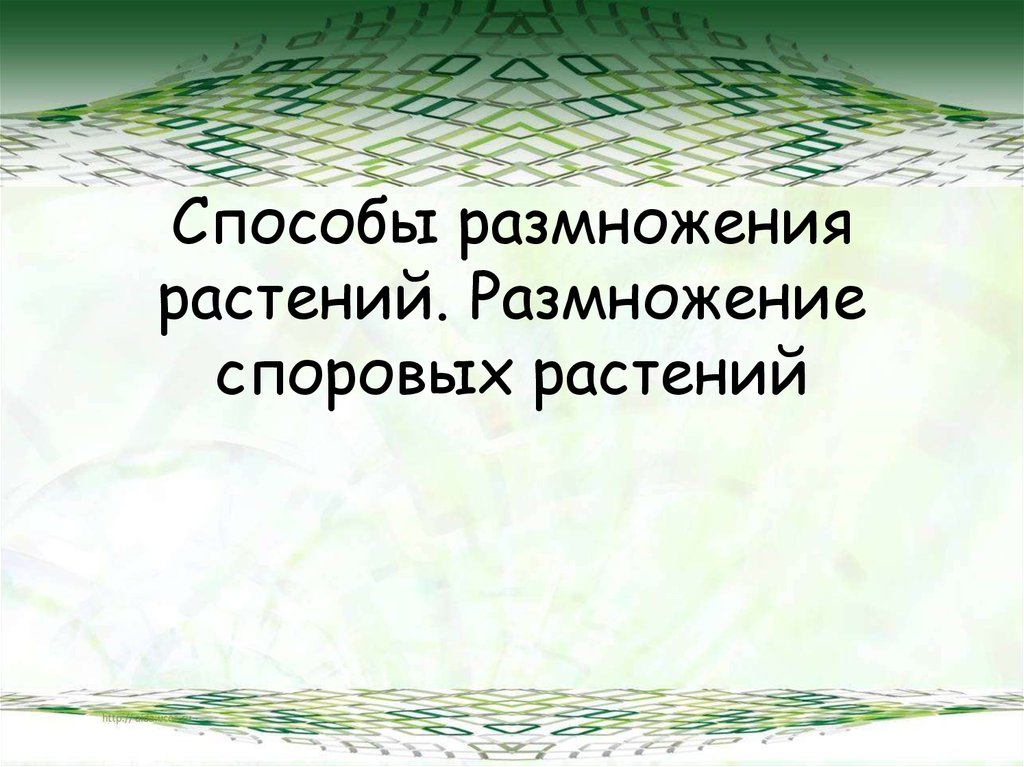 Размножение споровых растений презентация - 81 фото