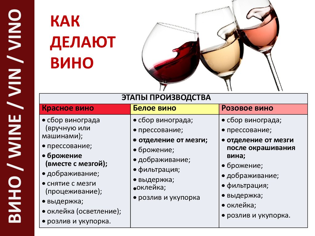 Чем отличаются красные вина