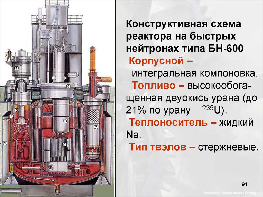 Первая в мире на быстрых нейтронах. Корпус реактора БН-600. Схема реактора БН 600. ТВС реактора БН-600. БН-800 реактор схема.