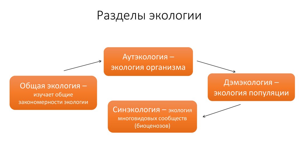 Разделы экологии социальная экология