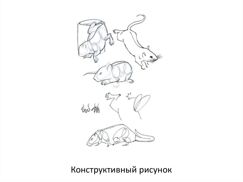 Конструктивный рисунок