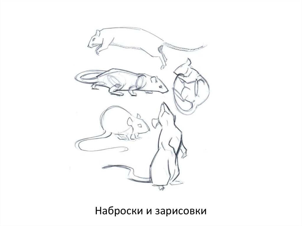 Наброски и зарисовки