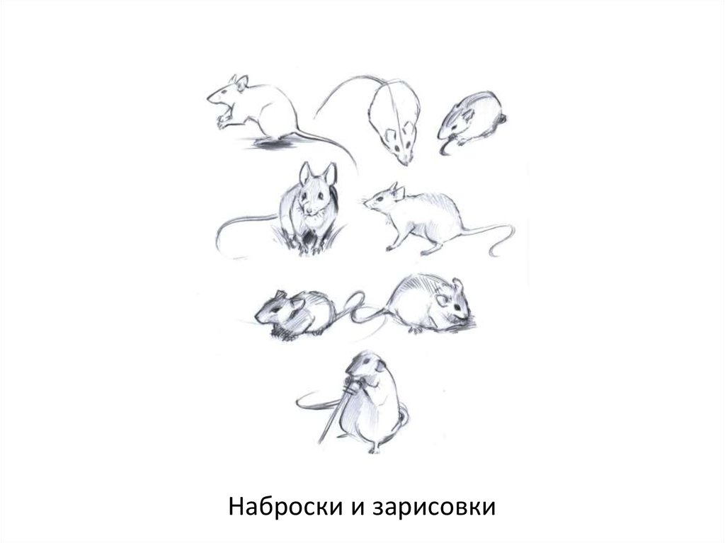 Наброски и зарисовки