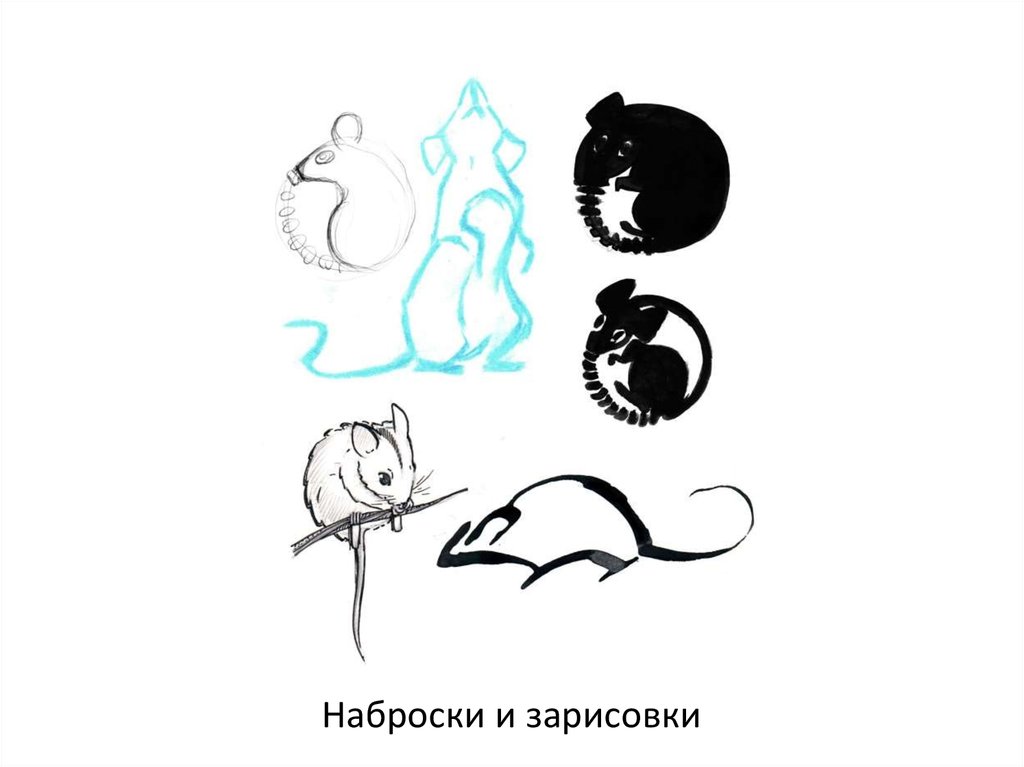 Наброски и зарисовки
