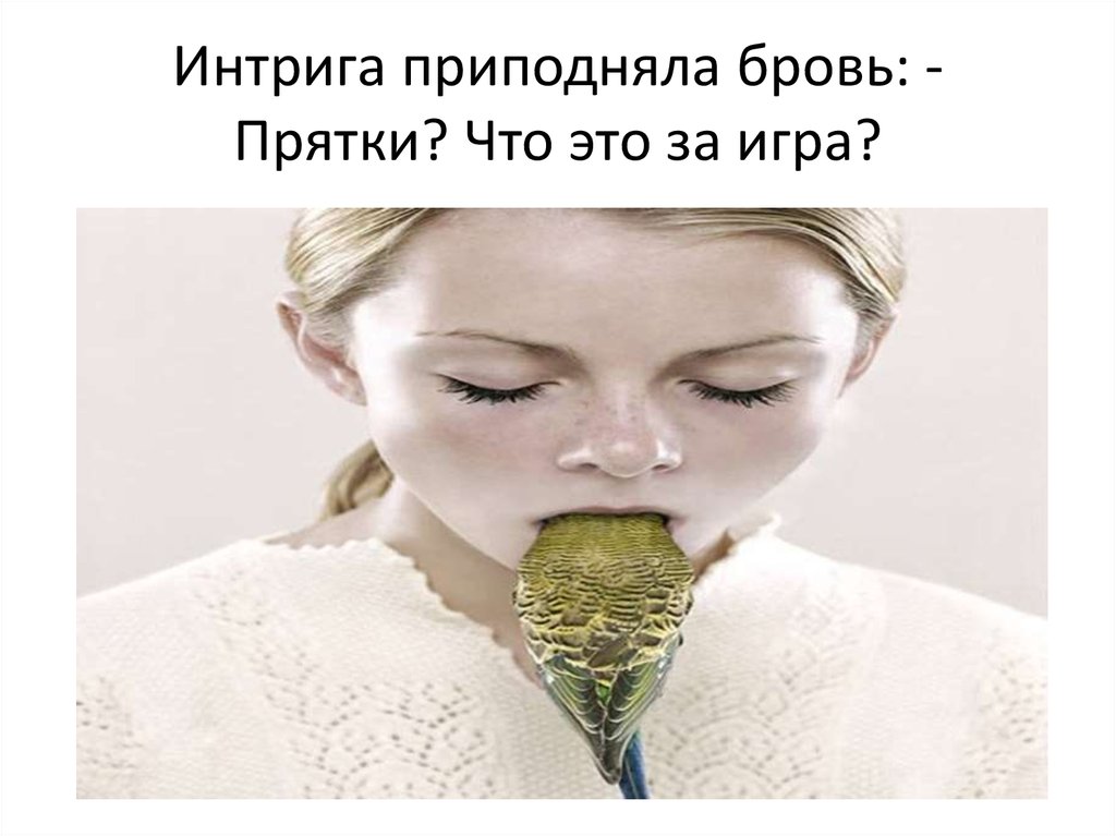 Интрига приподняла бровь: - Прятки? Что это за игра?