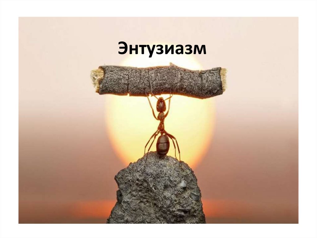 Энтузиазм