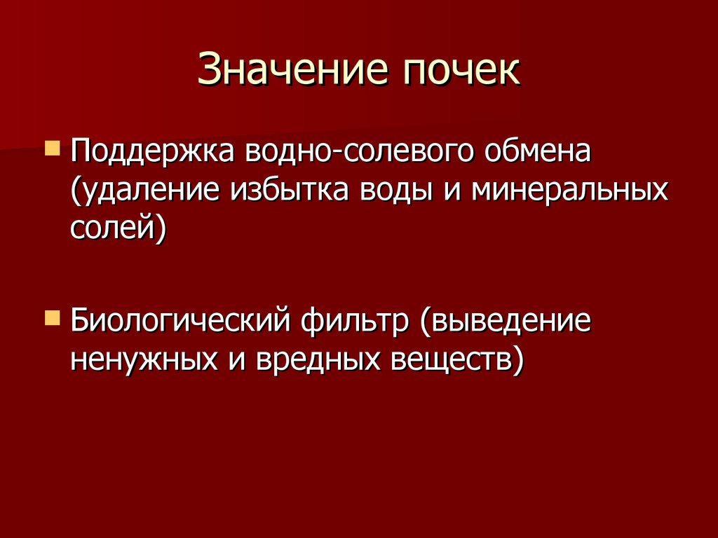 Почему почки часто называют биологическим фильтром. Значение почек. Важность почек. Значение почек в организме. Значение и функции почек.