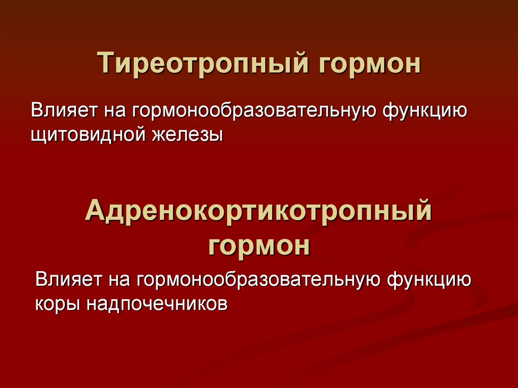 Тиреотропный гормон 2 3