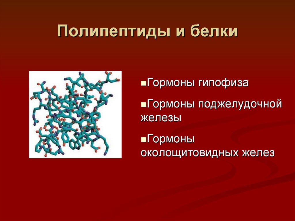 Полипептид. Белки полипептиды. Полипептиды и белки гормоны. Полипептидные гормоны. Понятие о полипептидах.