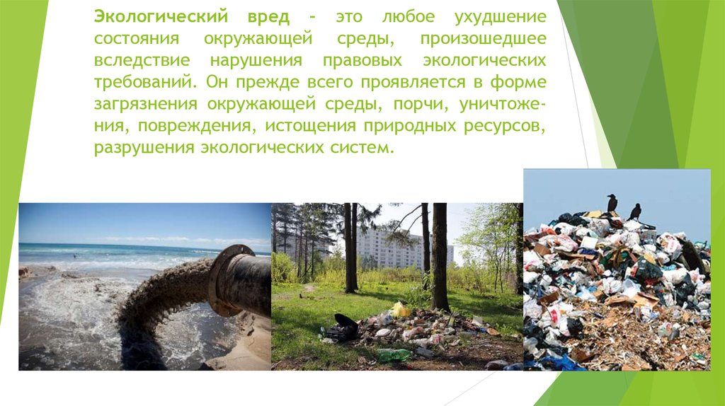 Экологическое состояние стран. Экологические проблемы. Экологический вред. Загрязнение окружающей природной среды. Понятие экологического вреда.