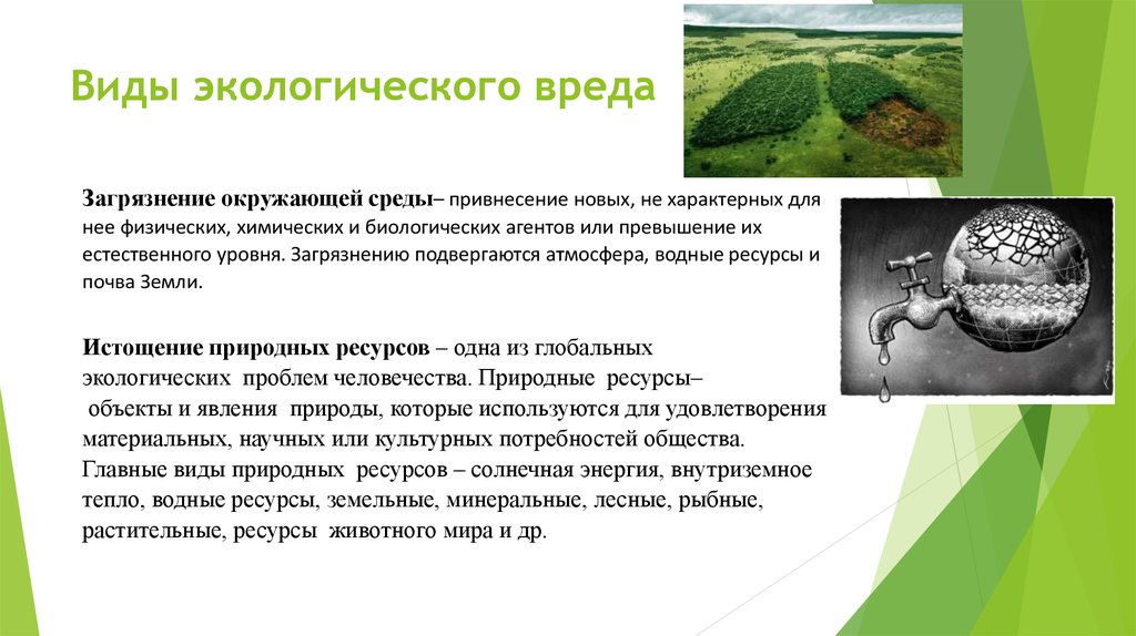 Вред окружающим. Виды экологического вреда. Понятие экологического вреда. Виды ущерба окружающей среде. Понятие и виды экологического вреда.