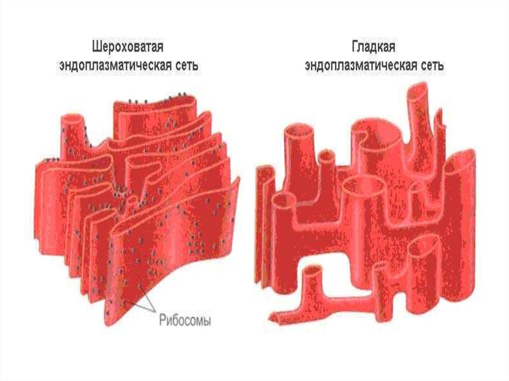 Шероховатая эпс рисунок