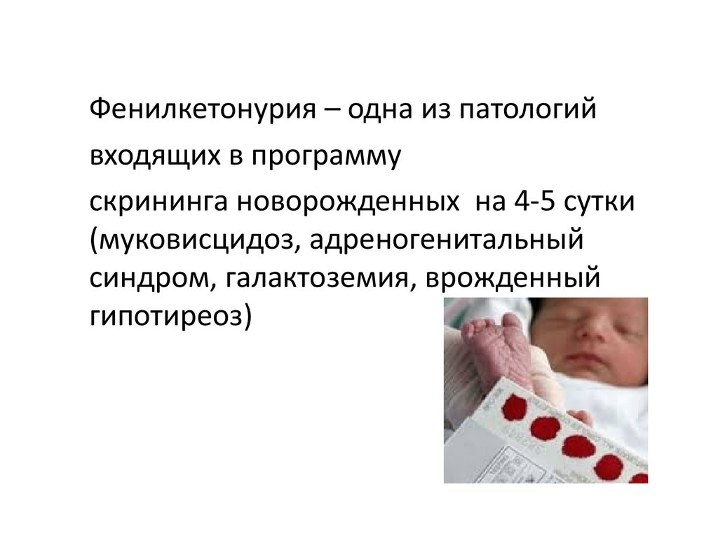 Неонатальный скрининг гипотиреоза. Скрининг новорожденных. Неонатальный скрининг на фенилкетонурию и гипотиреоз. Неонатальный скрининг на врожденный гипотиреоз. Фенилкетонурия у новорожденных.
