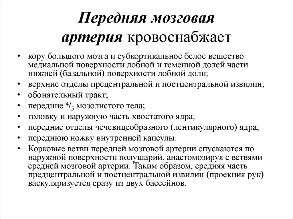 Инсульт правого бассейна. Передняя мозговая артерия кровоснабжает. Средняя мозговая артерия кровоснабжает. Передняя мозговая артерия поражение. Передняя мозговая артерия инсульт клиника.