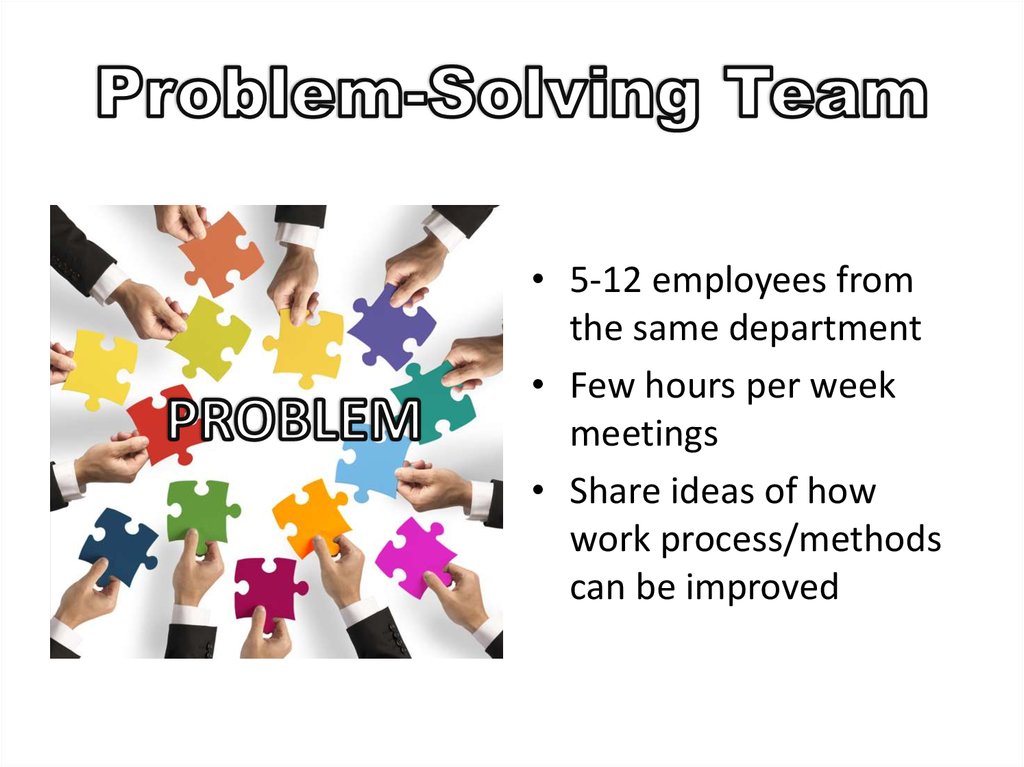 type of problem solving team