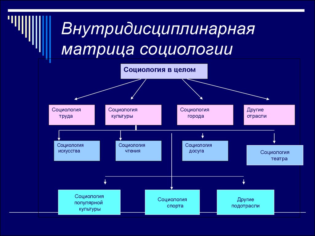 Презентация социология спорта