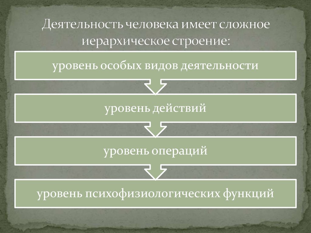 Теоретическая деятельность человека. Иерархическое строение деятельности. Иерархическое строение деятельности человека в психологии. Деятельности человека имеет иерархическую структуру. Уровни строения деятельности.