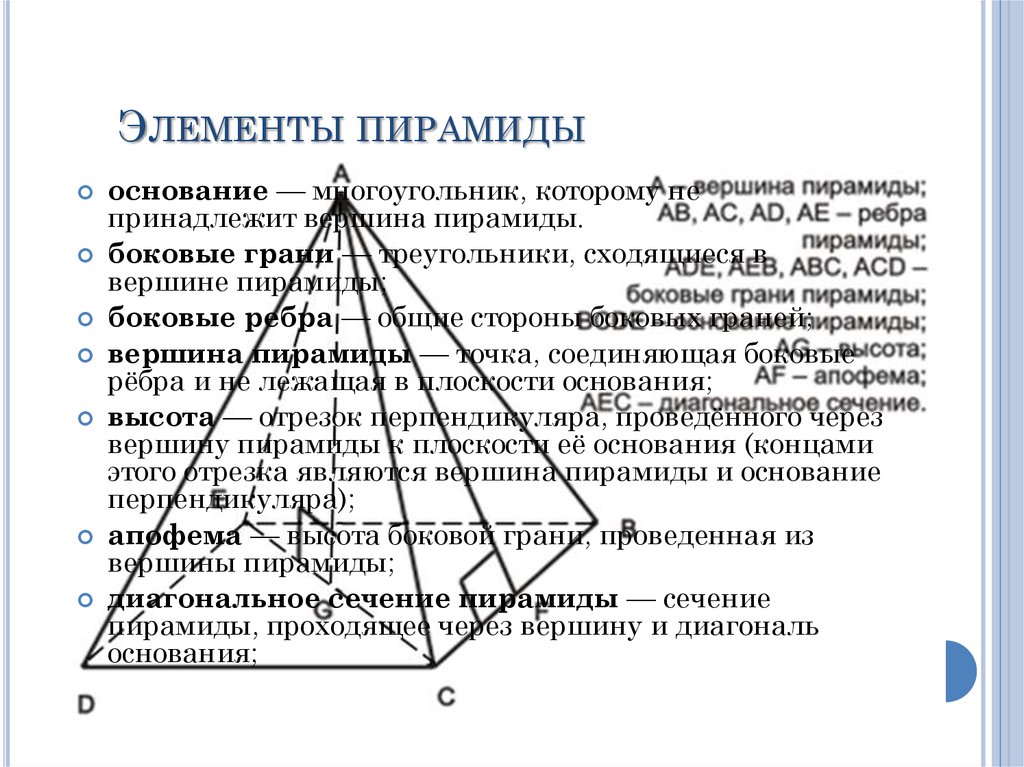 На чертеже задана пятигранная пирамида sacdef элемент пирамиды cs называется