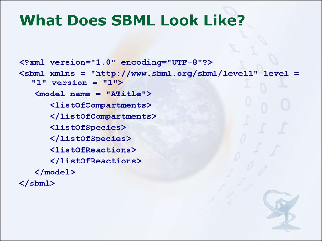 What Does SBML Look Like?