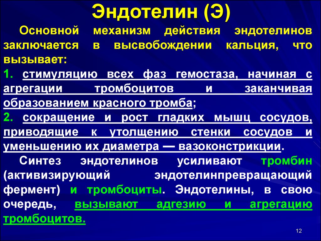 Место синтеза. Эндотелин. Эндотелин 1. Система эндотелинов. Эндотелин 1 функции.