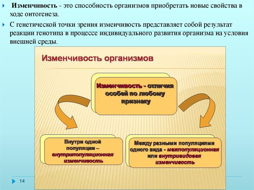 Способность организмов приобретать новые признаки это