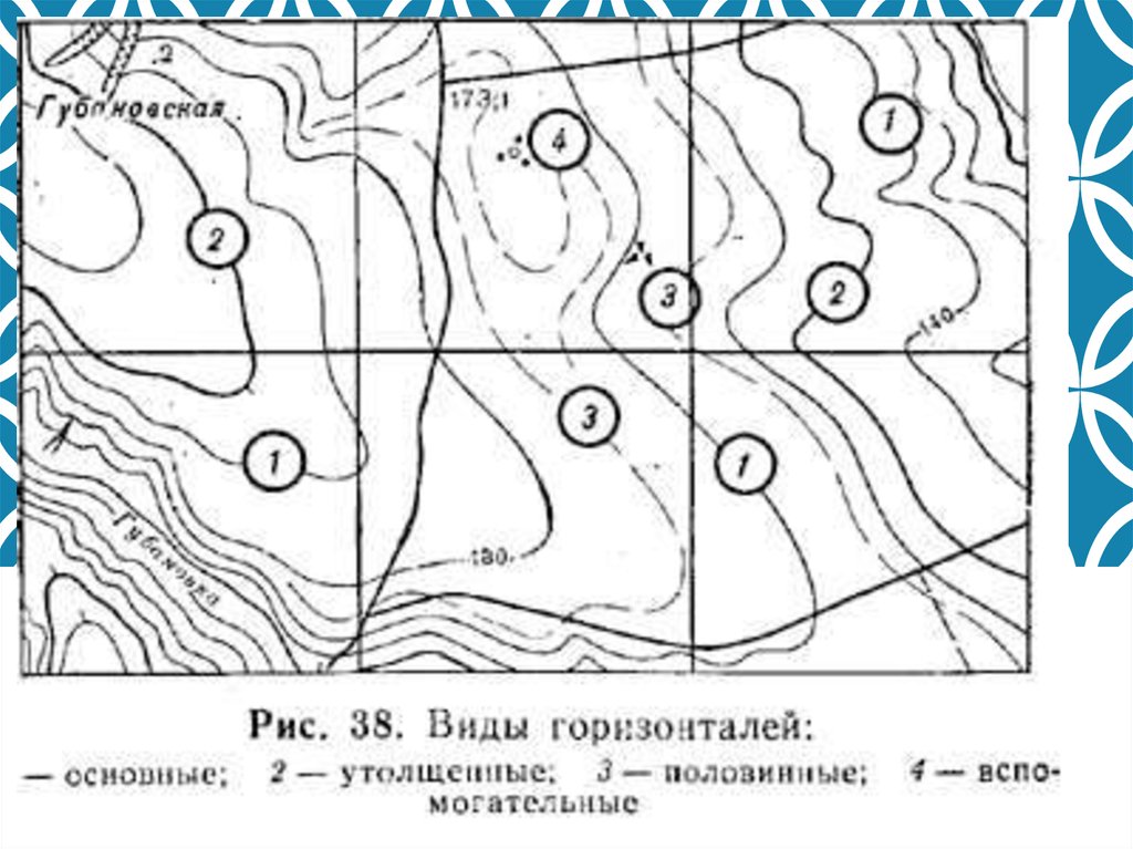 Сплошные горизонтали на плане местности как определить