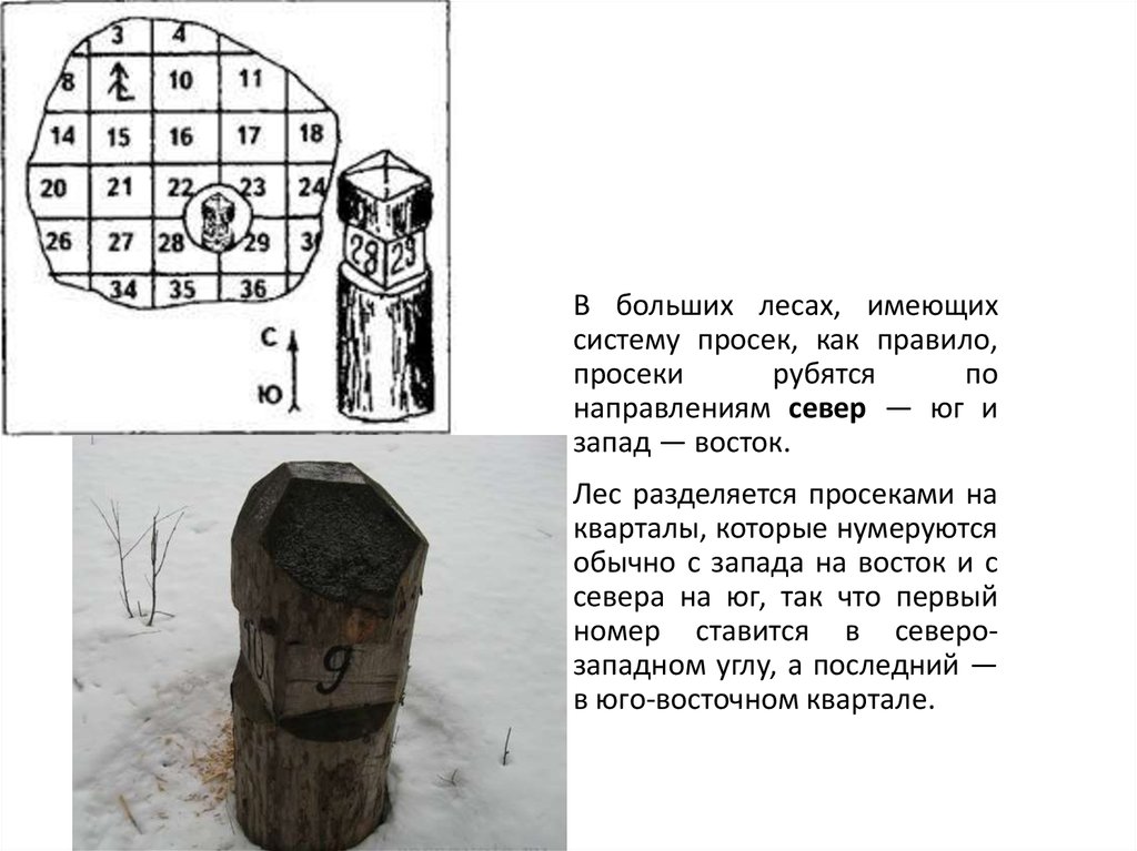 В каком направлении нумеруются квартальные столбы