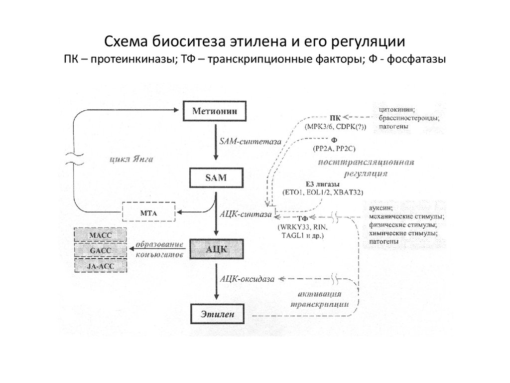 Получение этилена из природного газа