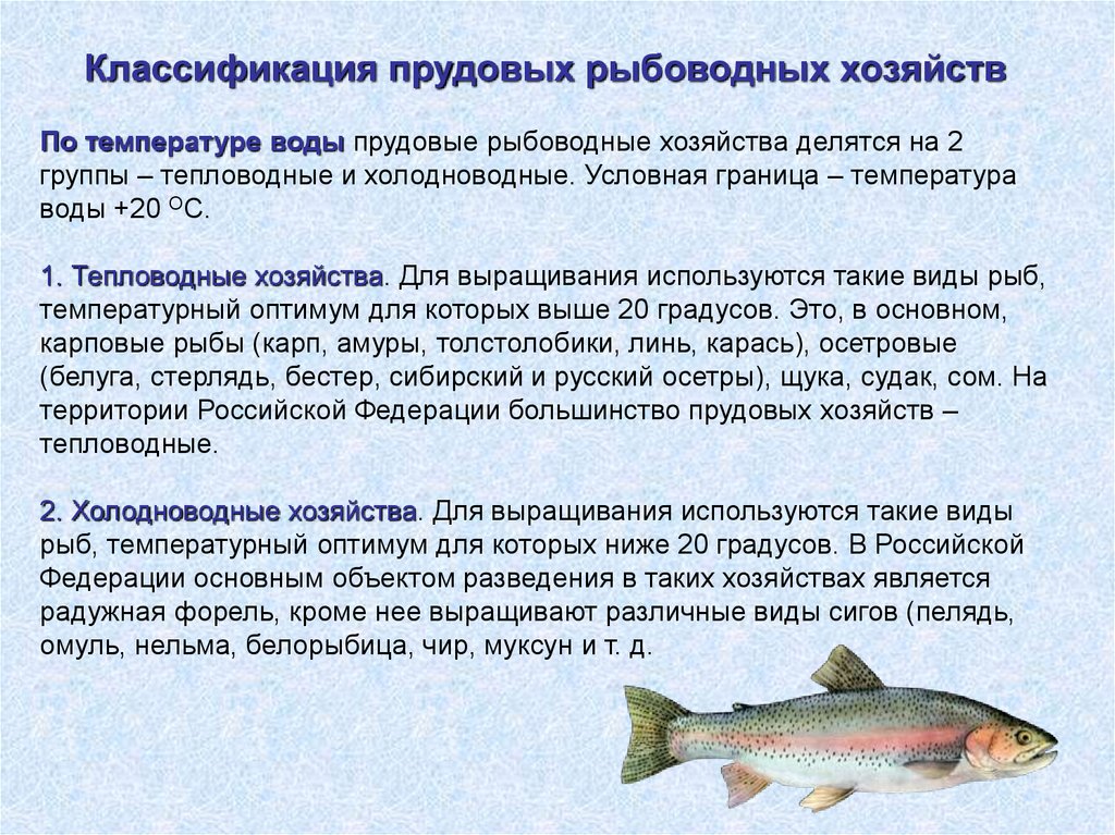 Рыбы условия жизни. Тепловодные прудовые хозяйства. Рыбоводство презентация. Рыбоводство рыбы. Разведение рыб сообщение.