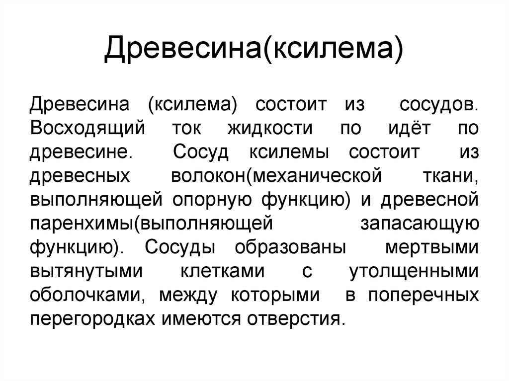 Древесина функции. Функция древесины. Древесина функции биология. Древесина выполняет функцию. Основная функция древесины состоит в.