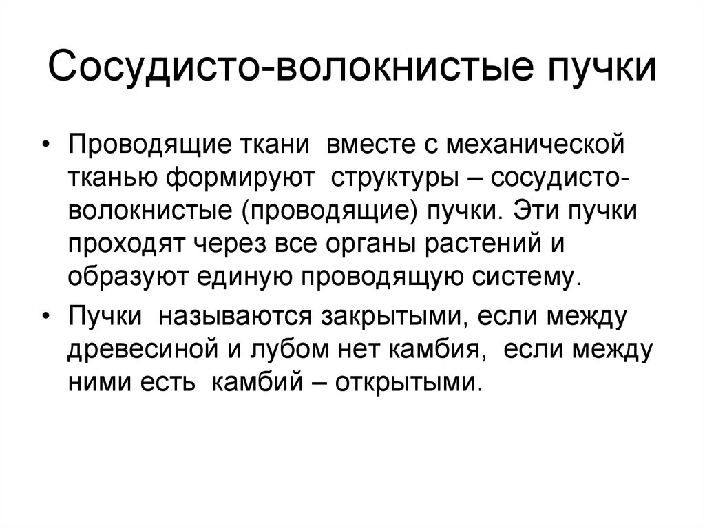 Сосудистый пучок. Сосудисто волокнистые пучки. Сосуди то волнистый пучое. Сосудисто-волокнистые пучки, их строение. Сосудистое волокнстый пучок.