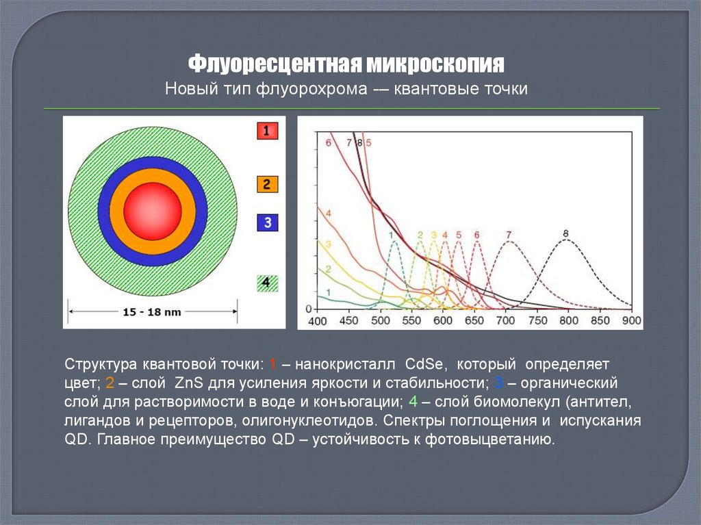 Синтез квантовых точек. Квантовые точки CDSE. Спектр абсорбции квантовых точек. Квантовая эффективность фотоприемника.