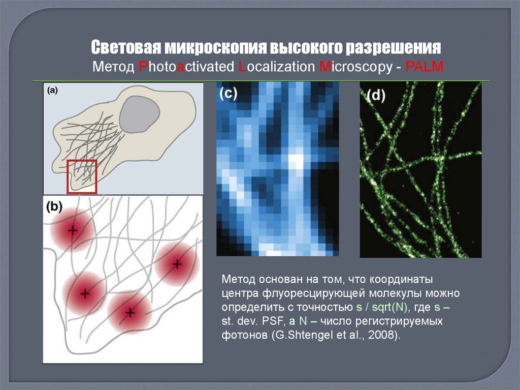 Световая микроскопия