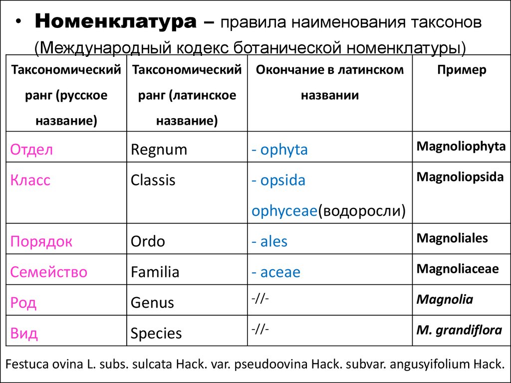 Систематическая категория эукариот