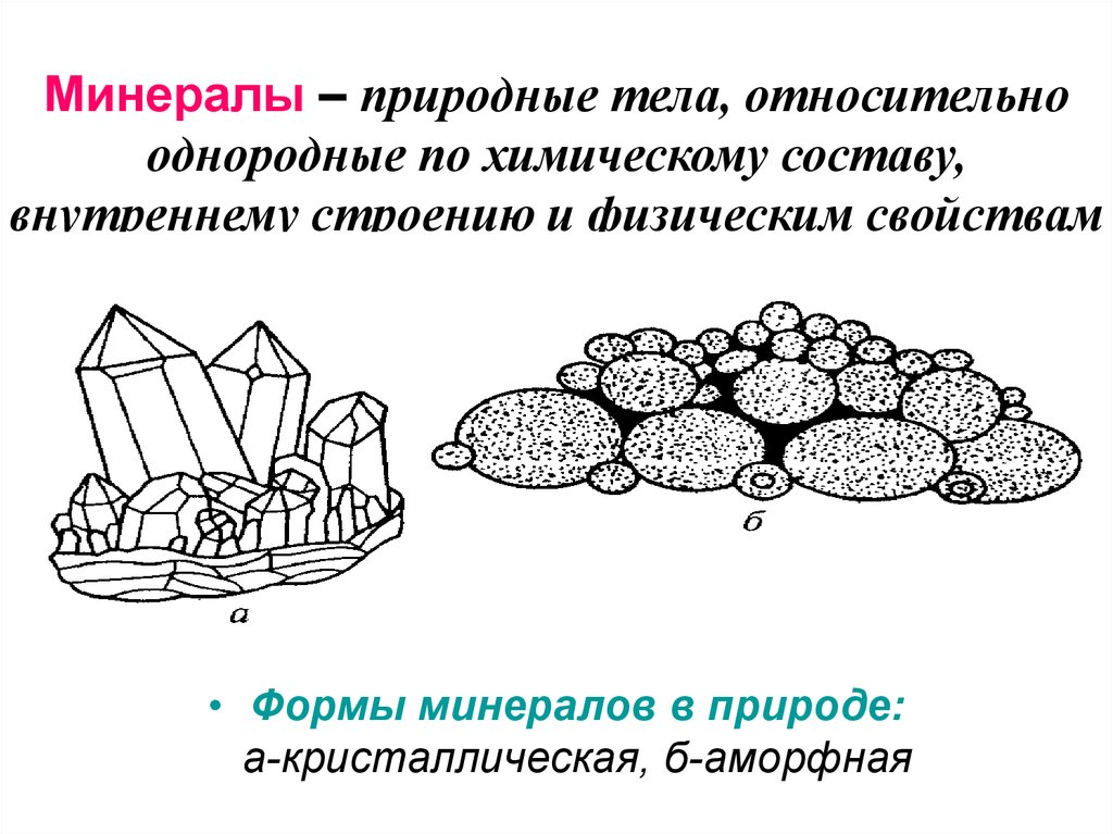 Какие ископаемые формы организмов относятся к переходным рассмотрите рисунок