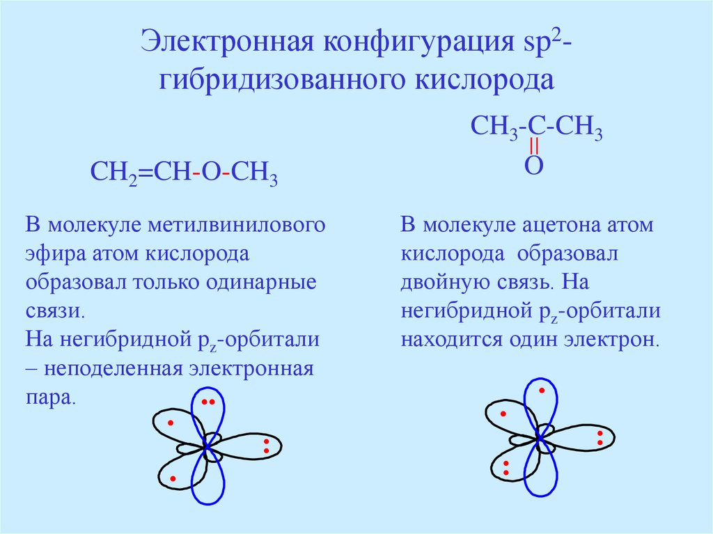 Гибридизация кислорода. Кислород строение орбиталей. Электронное строение элементов-органогенов. Ацетон Тип гибридизации. Электронное строение sp2.