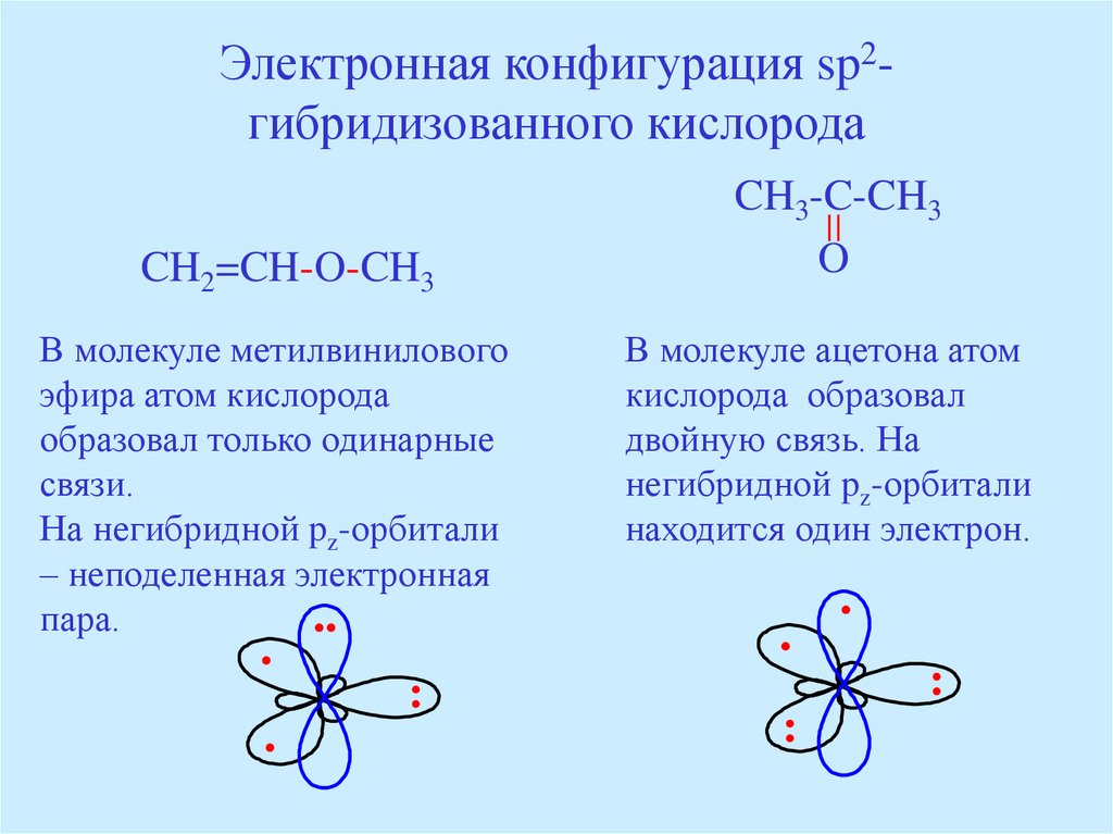 Связь атомов в молекуле. Sp2 гибридизация кислорода. Кислород строение орбиталей. Электронное строение кислорода -2. Электронное строение элементов органогенов.