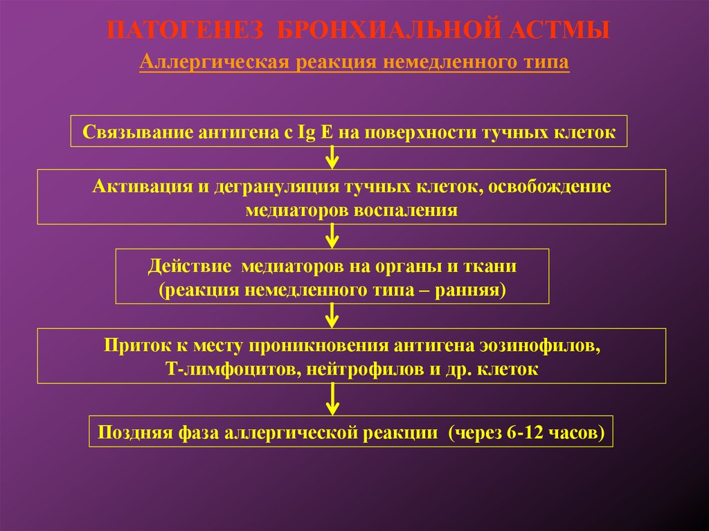 Типа патогенез. Патогенез аллергической ба. Патогенез развития бронхиальной астмы. Патогенез аллергической бронхиальной астмы. Механизм развития бронхиальной астмы патогенез.