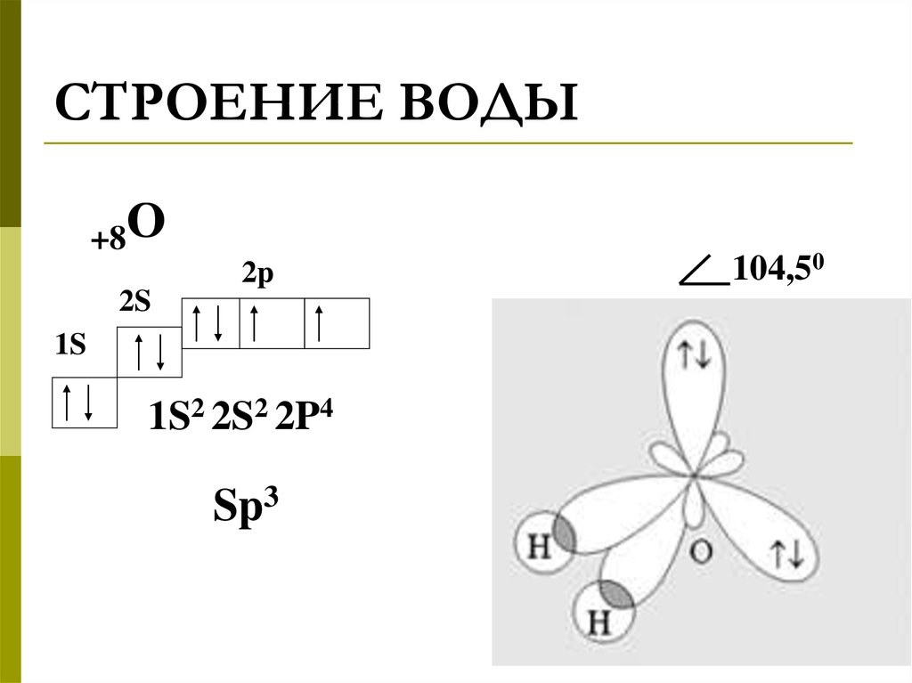 Структура жидкости. Строение водных растворов. Строение воды 5 класс. Вода строение (виды). Иммобильная вода строение.