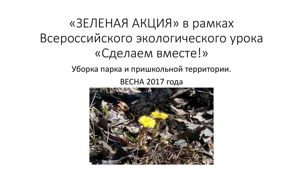 «ЗЕЛЕНАЯ АКЦИЯ» в рамках Всероссийского экологического урока «Сделаем вместе!»