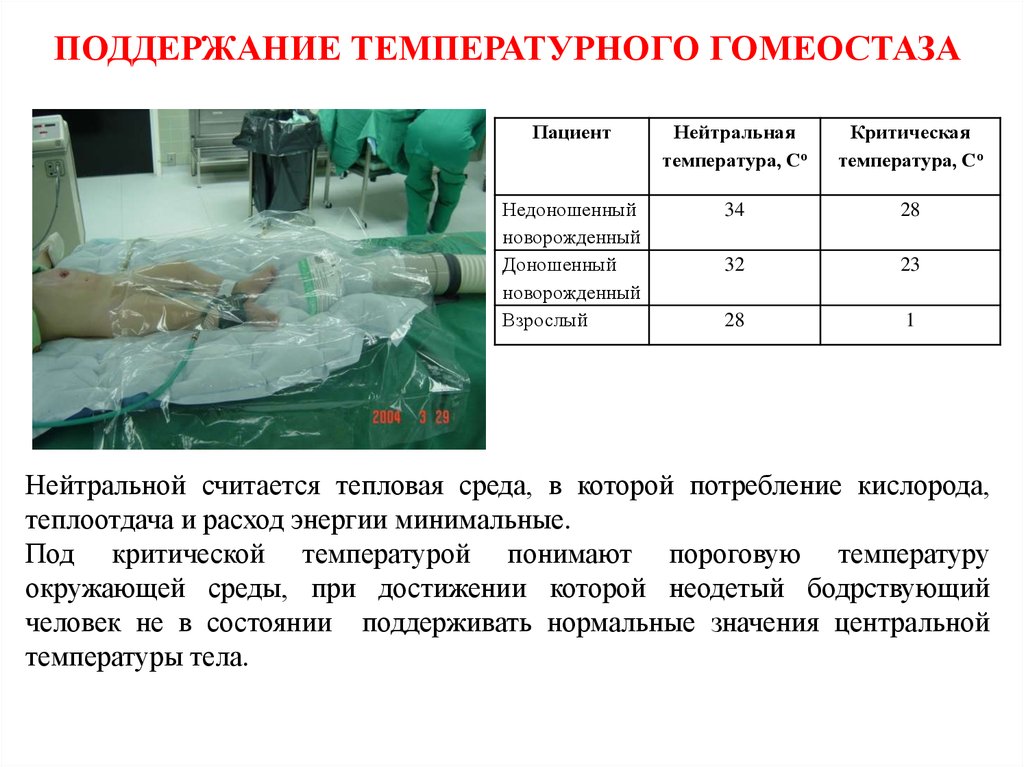 Поддержание гомеостаза. Поддержание температурного гомеостаза. Механизмы поддержания температурного гомеостаза. Регуляция температурного гомеостаза. Гомеостаз температуры тела.