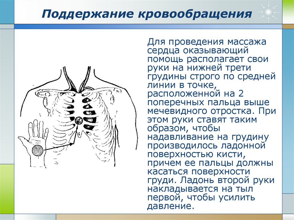 Как расположить руки на грудной клетке. Граница средней и нижней трети грудины. Граница верхней и средней трети грудины.