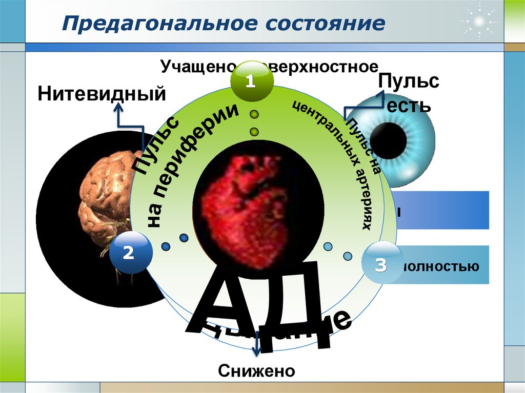 Состояние п. Предагонального состояния. Агональное и предагональное состояние. Признаки преагонального состояния. Симптомы предагонального состояния.