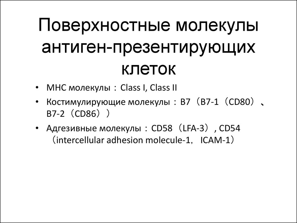 Поверхностные молекулы. Костимулирующие молекулы cd80 и cd86. Костимулирующие молекулы это иммунология. Костимулирующие молекулы механизм. Костимулирующие молекулы сд3.