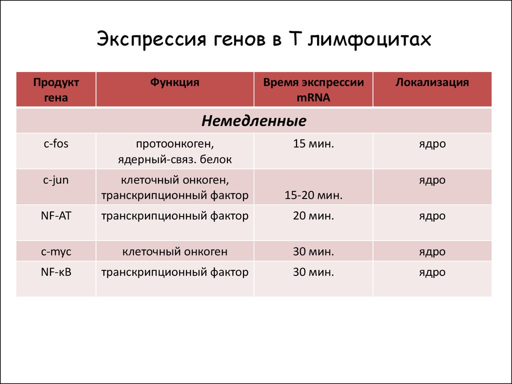 Время экспрессии. Таблица ген символ локализация продукт Гена. Что такое продукты Экспрессия. Экспрессия Гена c-Jun. Р24 функция продуктов генов.