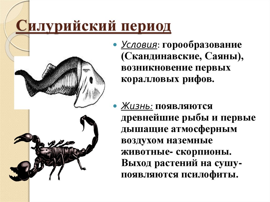 Условий в период. Силурийский период растения и животные. Силурийский период условия жизни. Условия силурийского периода. Силурийский период климат растения животные.